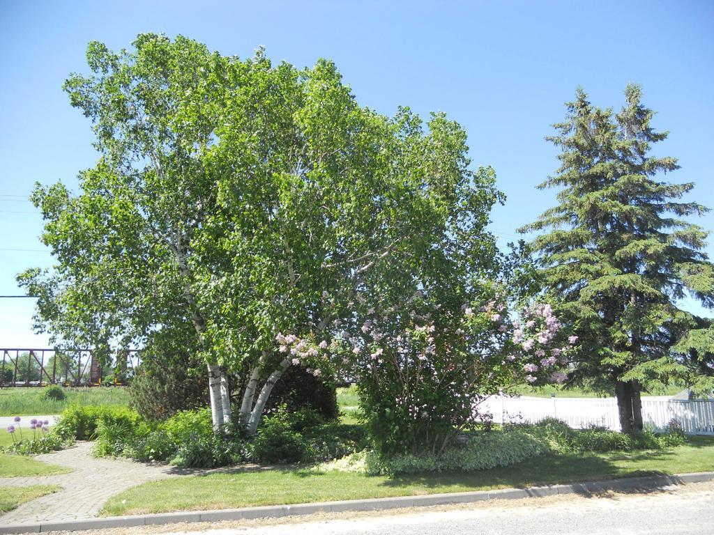 Motel Normandie Louiseville Екстер'єр фото